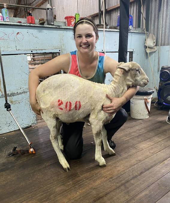 YOUNG GUN: Third generation shearer Emily Spenser said she is now shearing plenty of sheep and earning good money. 
