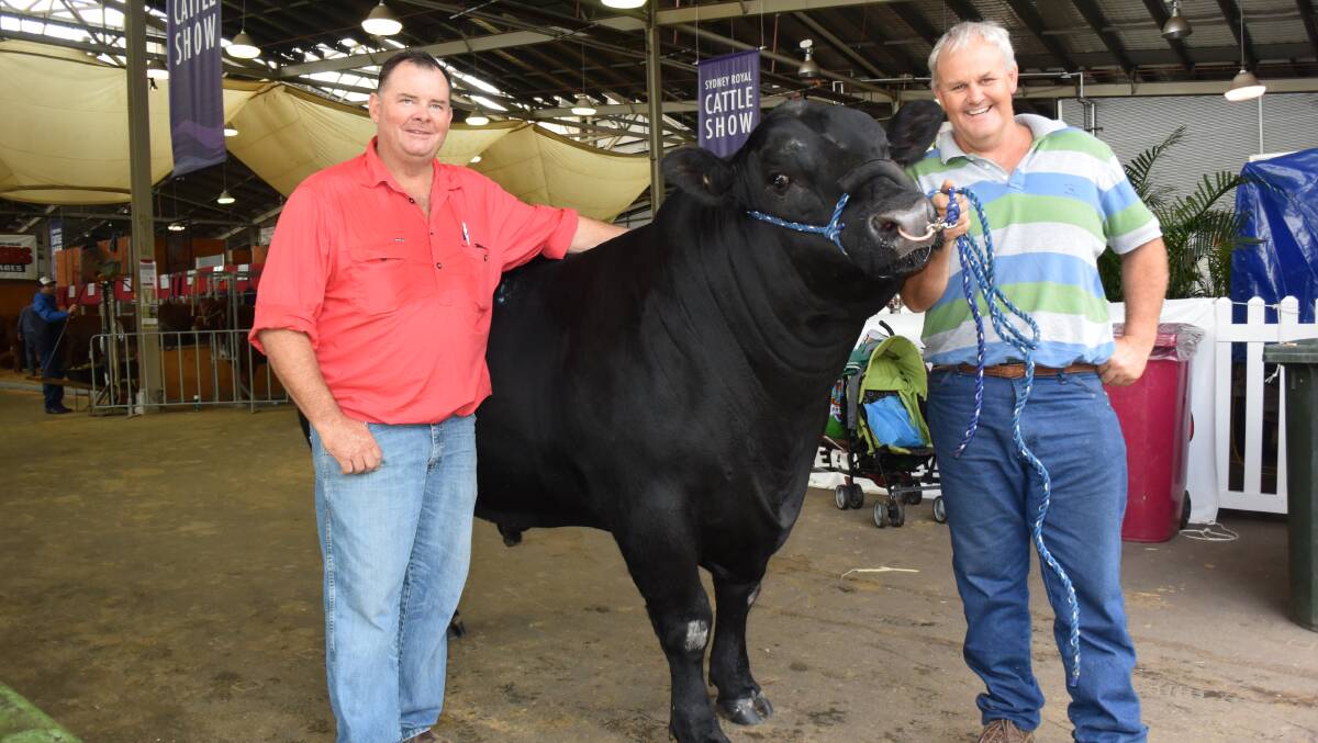 Rob Costello, Nairn Park, Walcha, with the $20,000 second highest price bull from last year's sale, Dalwhinnie Karate Kid K22 and breeder Dean Fredericksen, Orange. 
