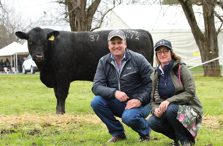 Anne Marie Barrow, Merlewood Angus, who purchased Irelands Lowanna L72 for $22,000 with Corey Ireland.