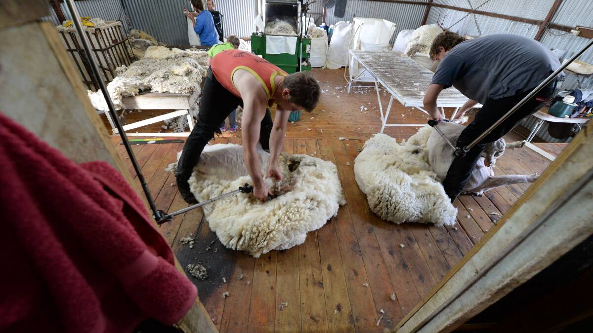 Growers who are harvesting their wool clip in spring aren't t rushing to sell their wool clips.