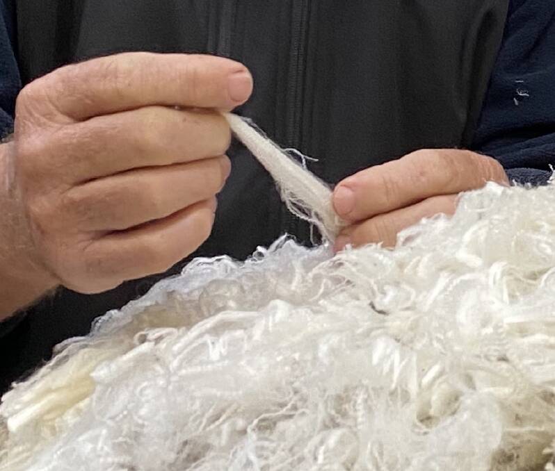 GREAT LENGTHS: Ideal Merino fleece length varies between microns, but for 17 to 19-micron wools, a staple length of 80 to 90 millimetres is ideal, and the sounder the better.
