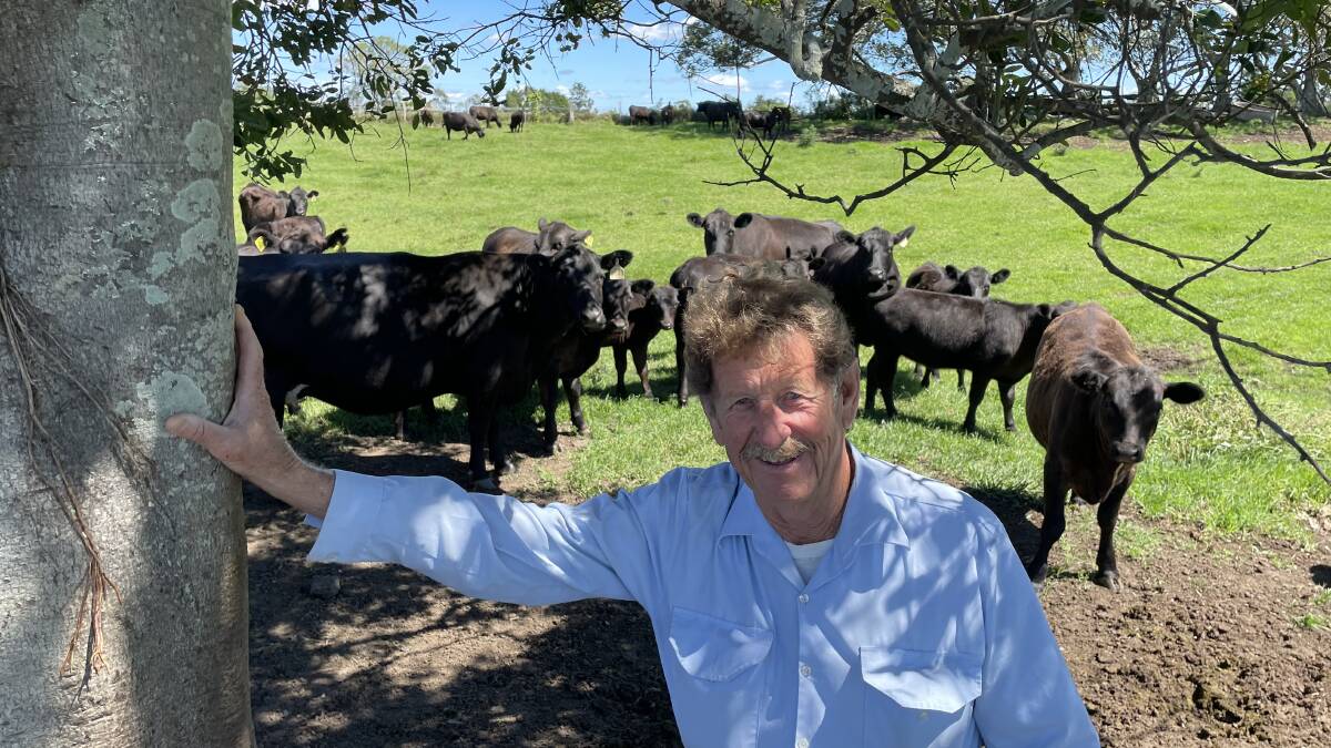 Angus breeder Geoff White, Tatham via Casino, has bought into verified genetics to boost his cattle operation.
