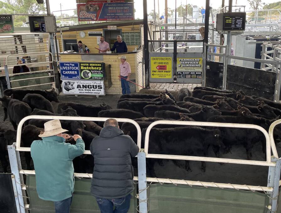 Angus weaner steers, 32 head, from C.O. Austin and Sons, Coombadjah, 211kg made 664.2c/kg or $1401.46 going onto crop in the Narrabri district.