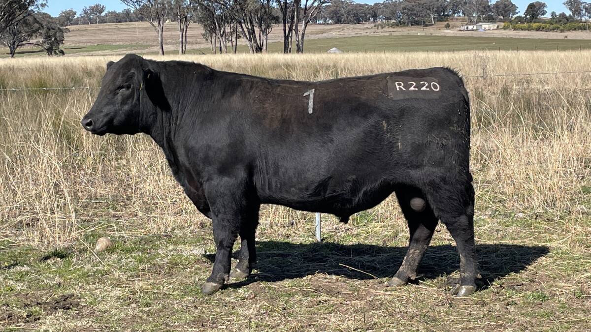 Top selling Swanbrook R220 made $20,000.