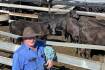 Grafton weaners to 1084 cents a kilogram
