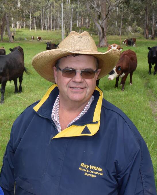 Livestock manager Tim Bayliss, Ray White Dorrigo, has a diverse range of experience within the beef industry but retains a passion for the led steer.