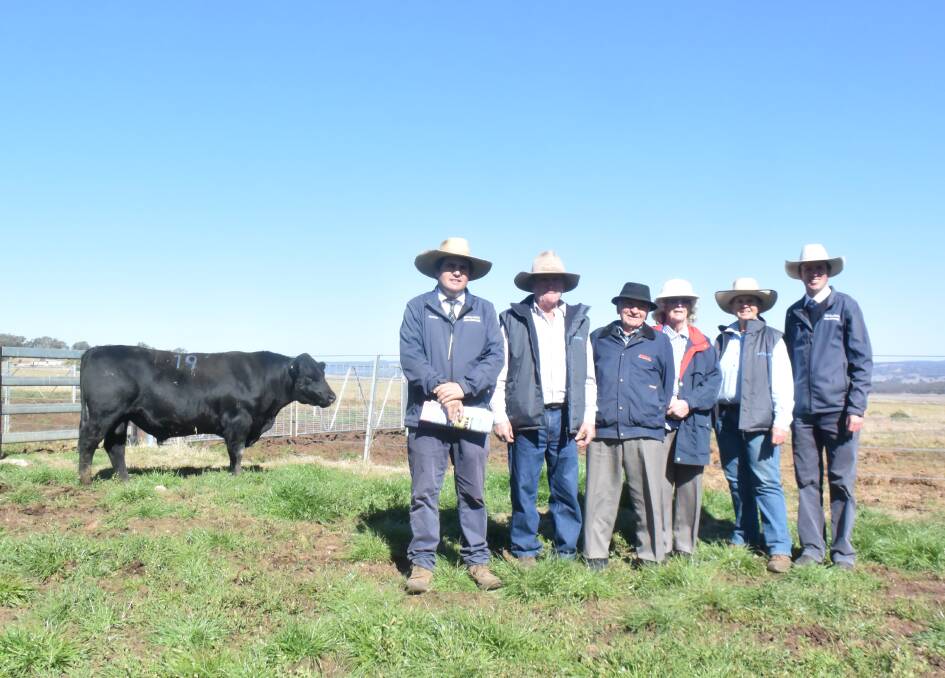 Swanbrook Genesis Q51 with agent Nathan Purvis, Colin Say and Co; stud co-owner Brian Turner, buyers Max and Elaine Fomiatti; stud principal Glynis Turner and auctioner Stephen Daley.