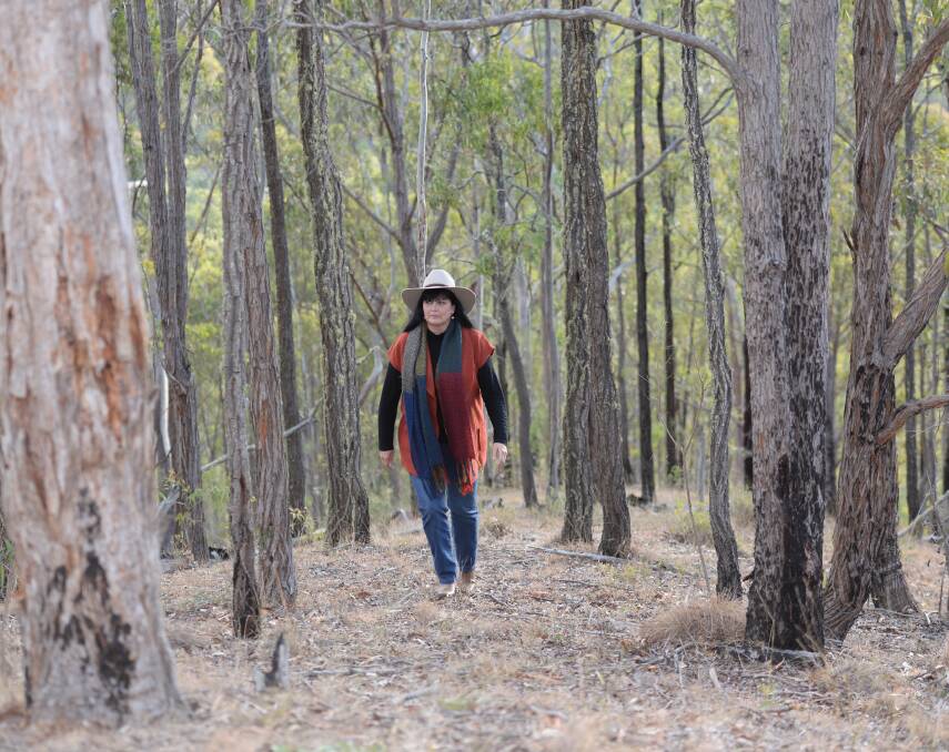 NSW Farmers Conservation and Resource Management Committee Chair Bronwyn Petrie welcomes new private native forestry codes that will give certainty to land owners who make an income from trees.