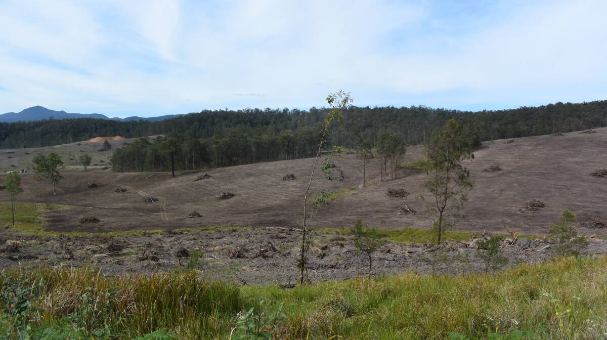 Managed Investment Scheme plantations failed in the Upper Tooloom, where they have been chipped and returned to grazing with a stick rake. Here, near Woodenbong, wood waste will be burnt at the Condong sugar mill to be turned into electricity.