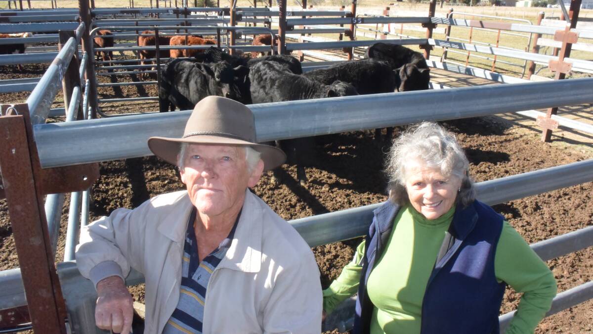Brangus calves from Darrell and Margaret Smith, Tallawalla, Scrub road, Tenterfield, averaged 549.2c/kg or $1581.70/hd at 288kg for their steers and 512.2c/kg or $1429.04 at 279kg for their heifers which were bought by repeat purchaser Wayne Jones, Montana Downs, also on the Scrub Road. All progeny were first calves from young breeders fed through the drought.