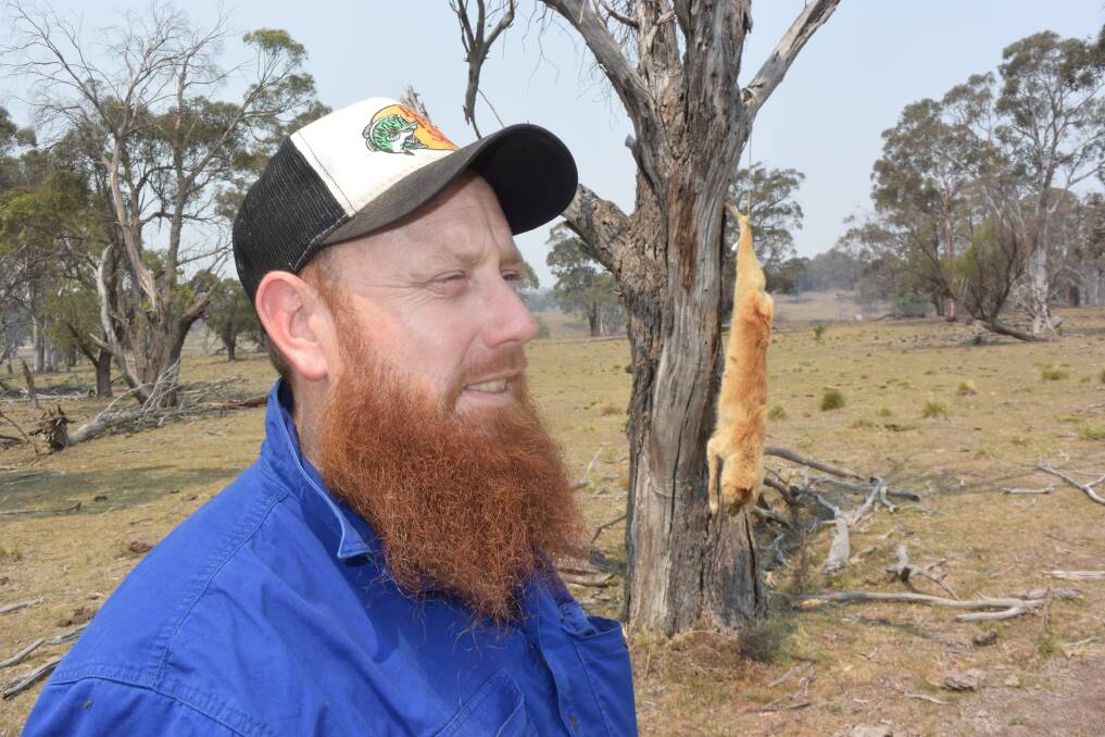 A 742km extension to the NSW, Qld, SA border fence has been announced but trapper Sam Peate says traditional techniques are still required. 