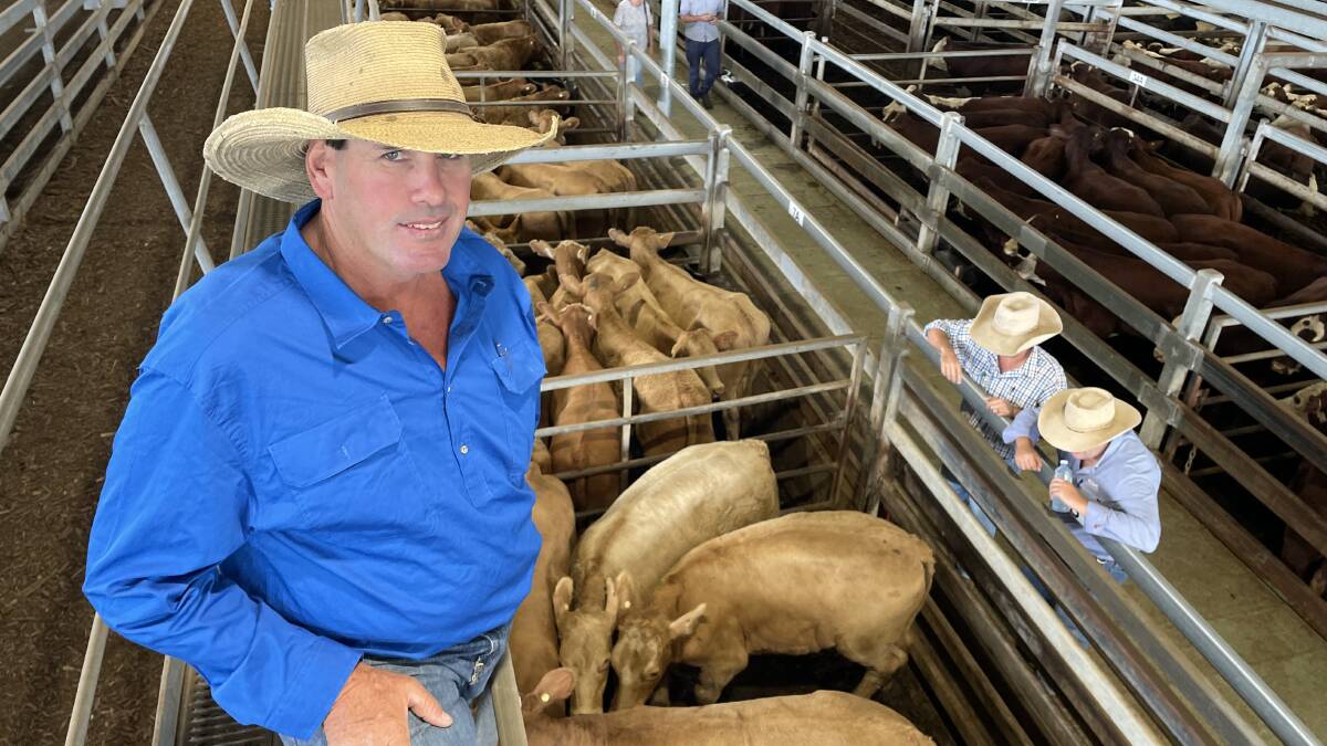 Geoff Yates, Mummulgum, with his own Charolais-cross steers, and those belonging to the Hill family, Woodenbong, which led the sale from the start.