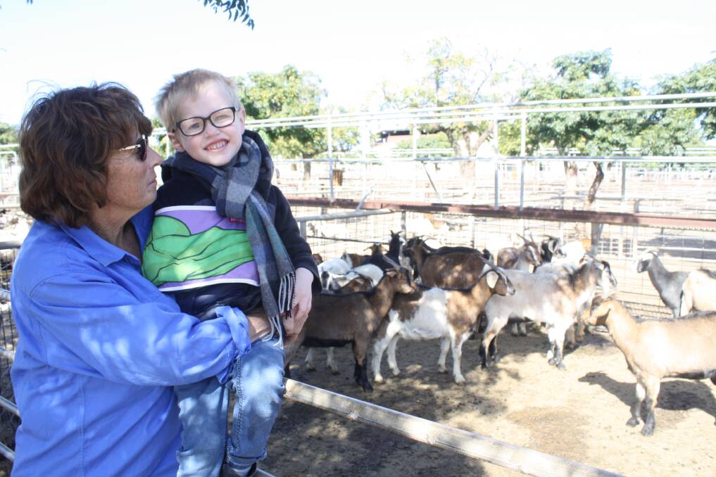 Vendor Shelley Roydhouse, Mudgee with grandson Oliver Thomas. They sold this pen of does for $154/hd