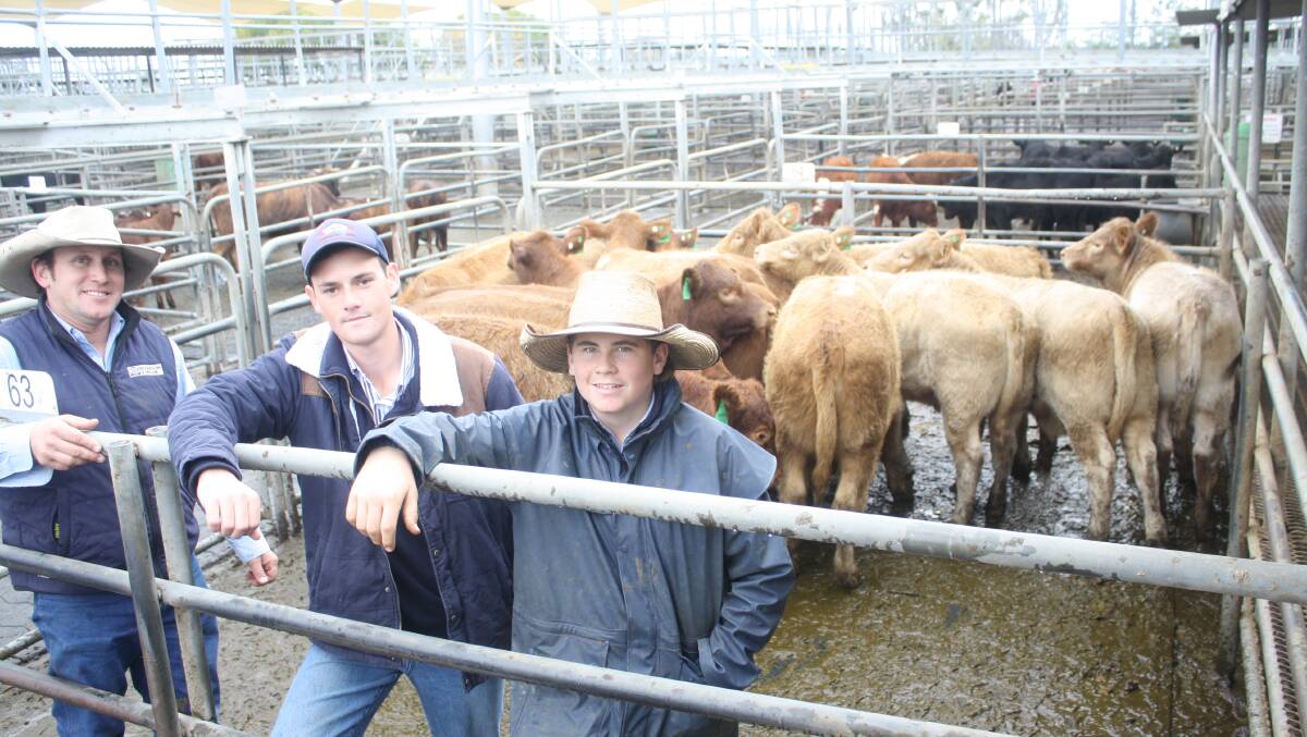 Auctioneer Justin Sanderson, Richardson and Sinclair with vendor Nick Williams, Terra Pastoral, Dubbo and Joe Sinclair, also Richardson and Sinclair, Dubbo. The Charolais/Shorthorn heifers sold for $1600/hd. Photo: Rebecca Cooper