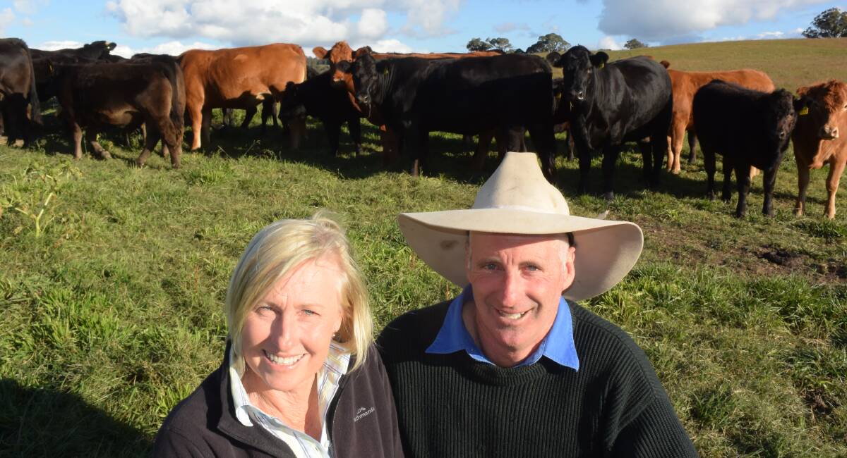 Kerrie and Jeff Etheridge, Red Rock Limousins, Yarrowitch, are dispersing their stud Limousin herd, including never before opffered females and bulls like Flemington Joker, which topped the Limousin National at Wodonga in 2015.