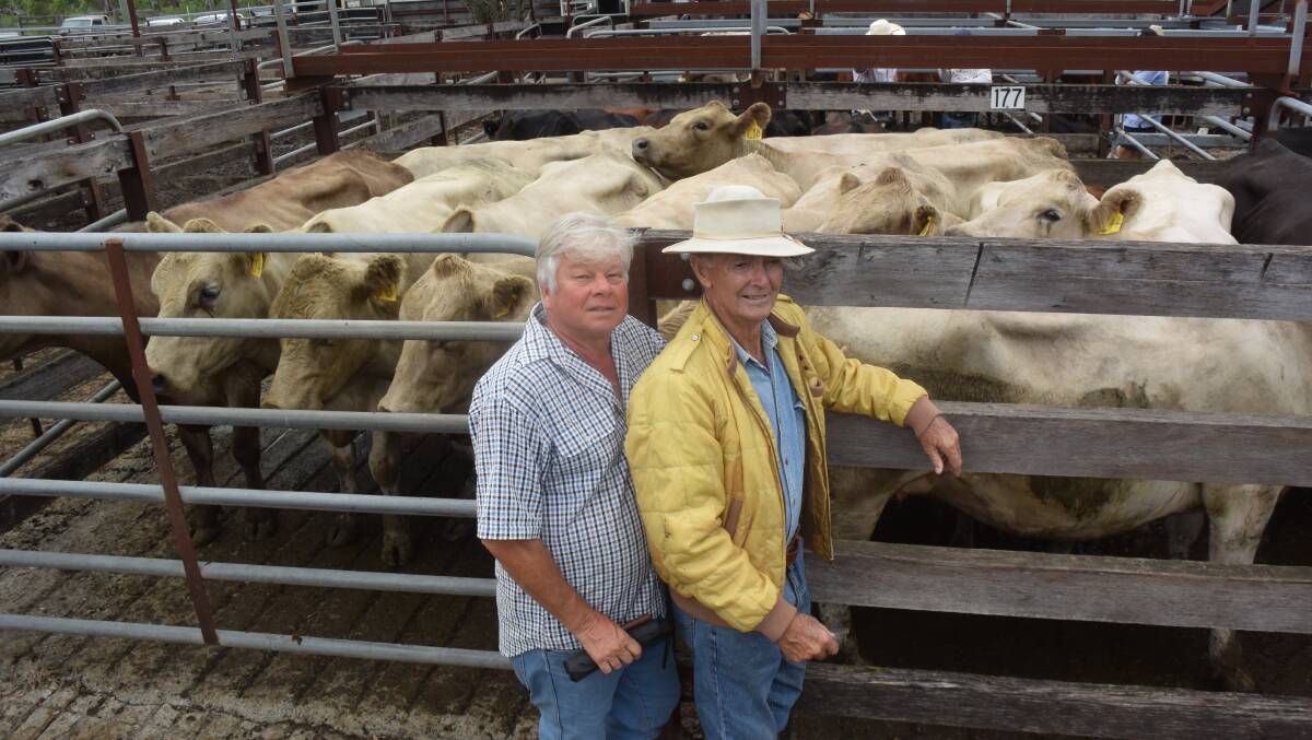 Dave Bower and his father-in-law Allan Isaac, Stratford, who with his wife Leonie sold Murray Grey cows and calves, kept alive through drought with a lot of feed for $2275 a unit to Edward Throsby, Singleton.