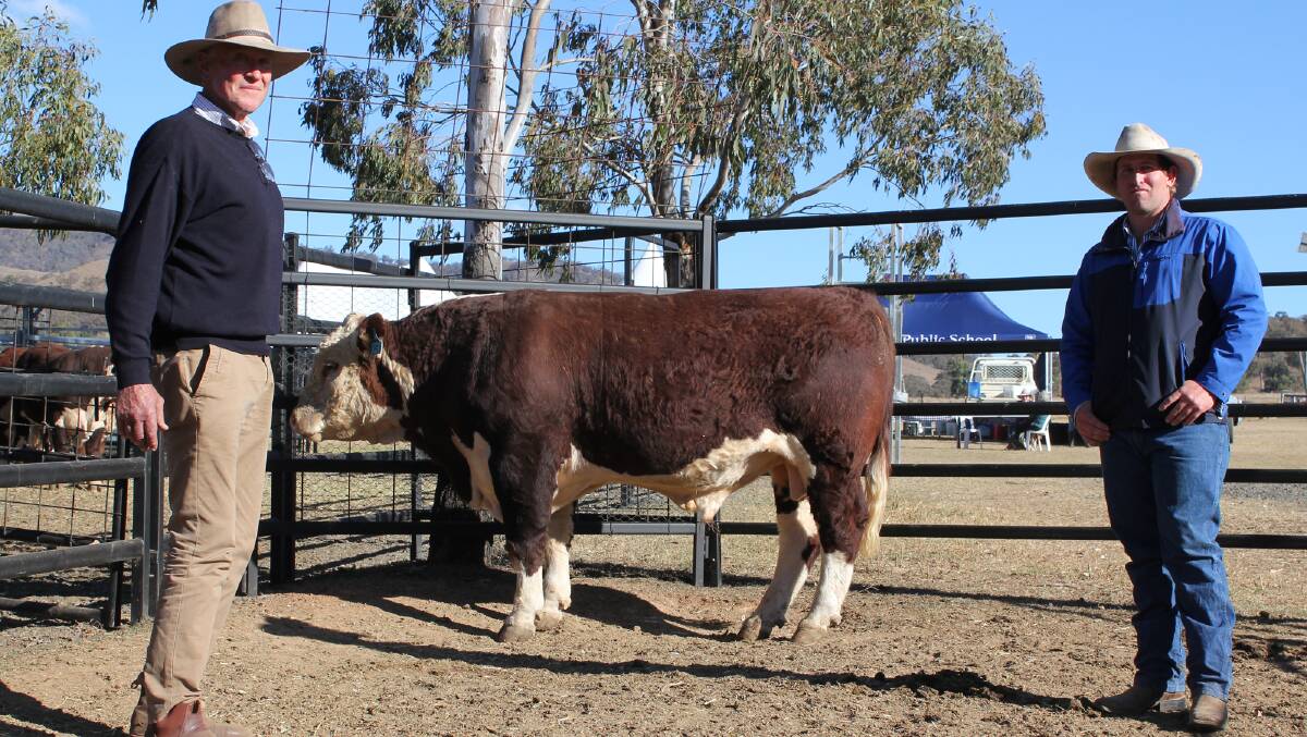 Sale topping bull Elite L251 was secured by commercial producer Charles Belfield, 'Kialami' Armidale, with Aaron Mepham, assistant manager. Together they bid $8500.