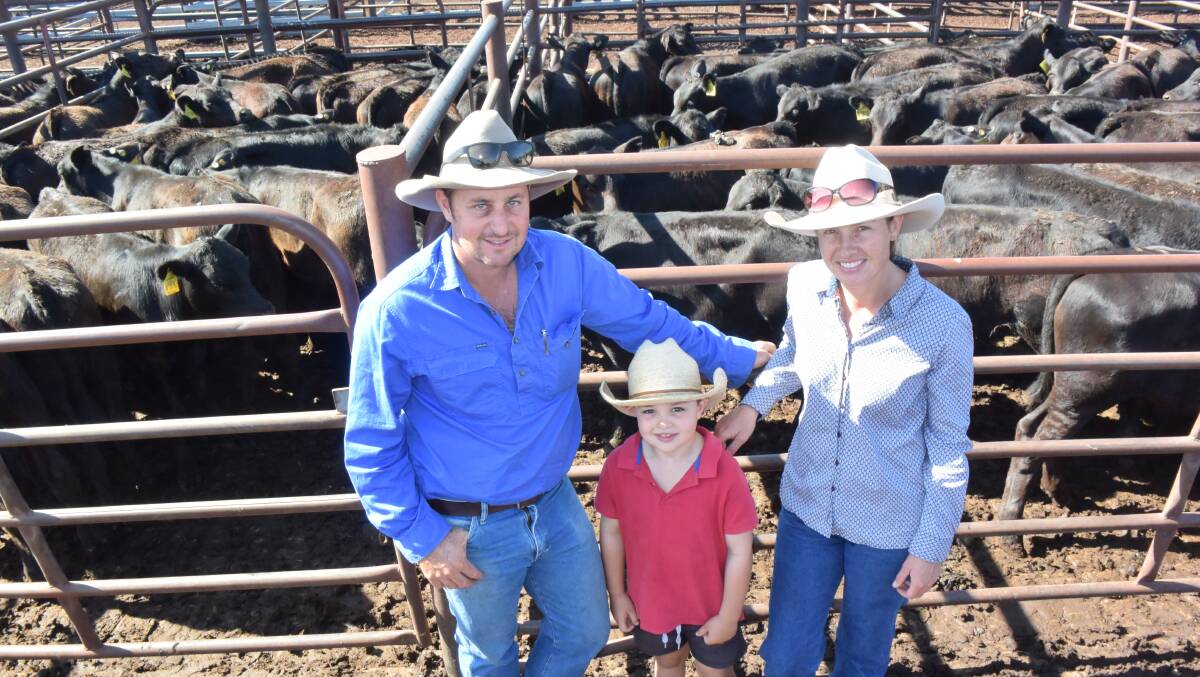Luke, Pat and Annie Nicolle, representing Wybong Pastoral at Graman sold Angus steers and heifers with Texas blood for up to 340c/kg.