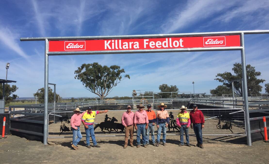 Some of the Elders team preparing for the inaugural Killara campdraft at Quirindi from November 12 with nearly 1000 runs anticipated. Photo: Supplied