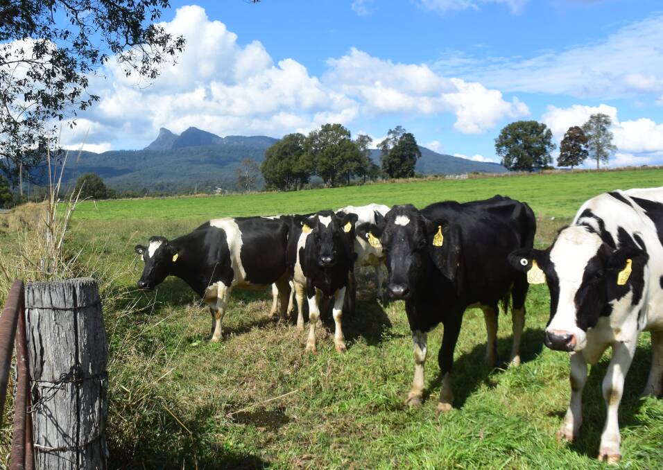 NSW Farmers has been responsive to calls for action at a state level, and has successfully secured approval for changes to the Association's dairy advocacy model, says chairman Colin Thompson.
