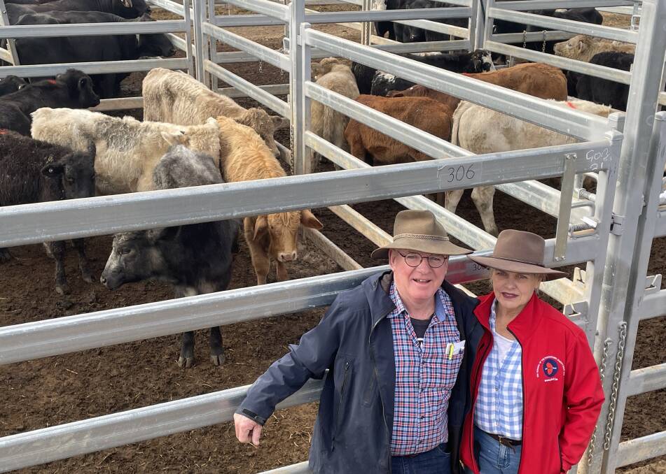 John O'Brien and Robby Summers, Inverell, in the market for lightweight weaners at Grafton store sale on Thursday where demand for mid-winter stock was softer.