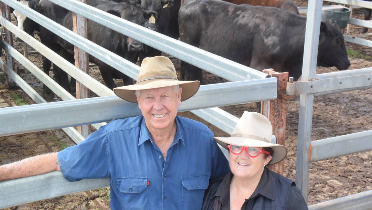 Gus and Gail Raymond, Bellingen, purchased 35 grown steers, including the top price of $1410 at Thursday's Grafton store sale and will finish the cattle on green grass, boosted by 50mm of rain this week.