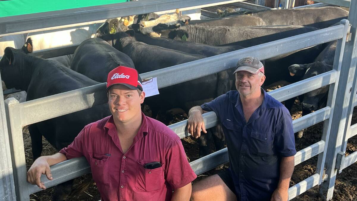 Max and Jason Winslow from Bowraville with their unjoined black baldy heifers which sold for $1640 at Kempsey on Saturday. Photo is supplied.