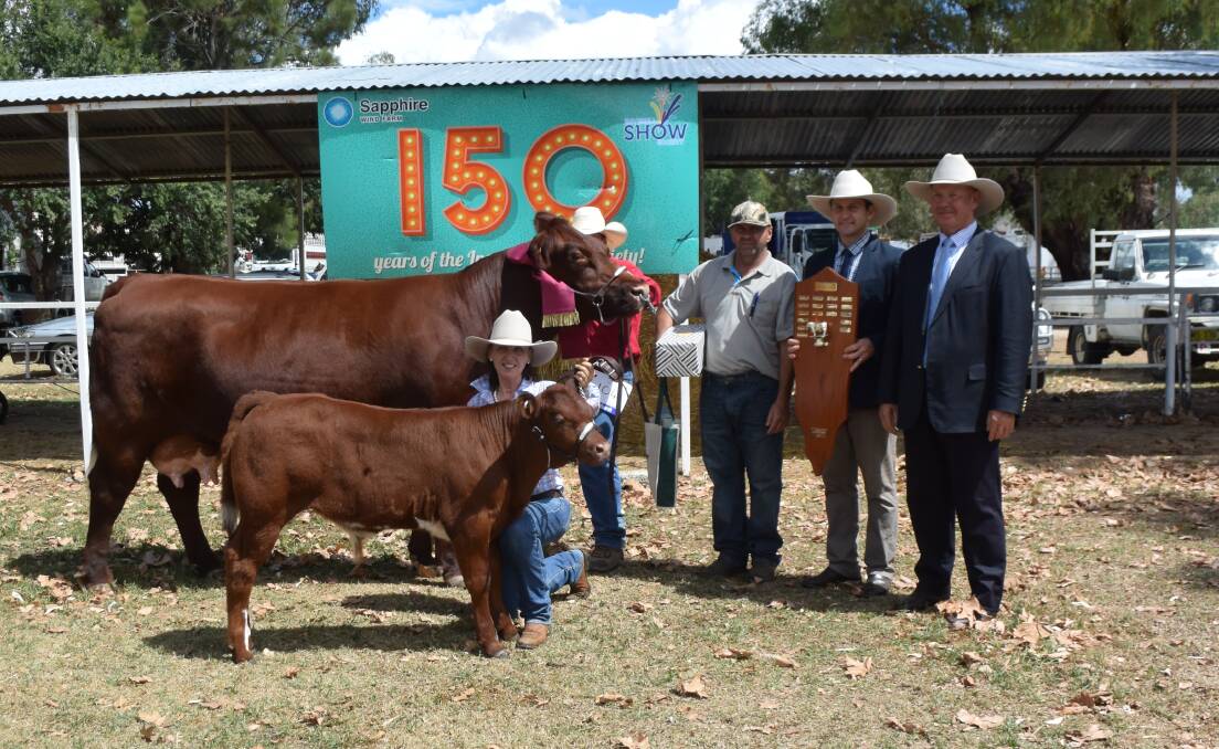 Delungra Shorthorn cow Emross Victories Indiana Amy by Broughton Park Victory from Emross Indiana Amy, with her remarkable calf born in January, was awarded supreme beef exhibit at the 150th Inverell show. She is pictured with Emross stud principal Belinda Emery, handler Michael Heyns, Matt Ross, and judges Ben Noller, Stanthorpe, and Richard Duddy, Tamworth.