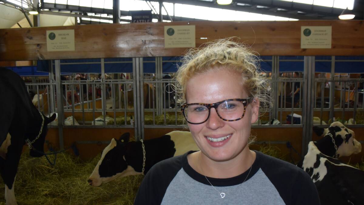Kelly Bleijendaal, pictured at the Sydney Royal, is a veteran of preparing cattle for shows all over the world - in the US, Canada, Switzerland, Belgium, Germany, her native Holland as well as New Zealand and Australia. 