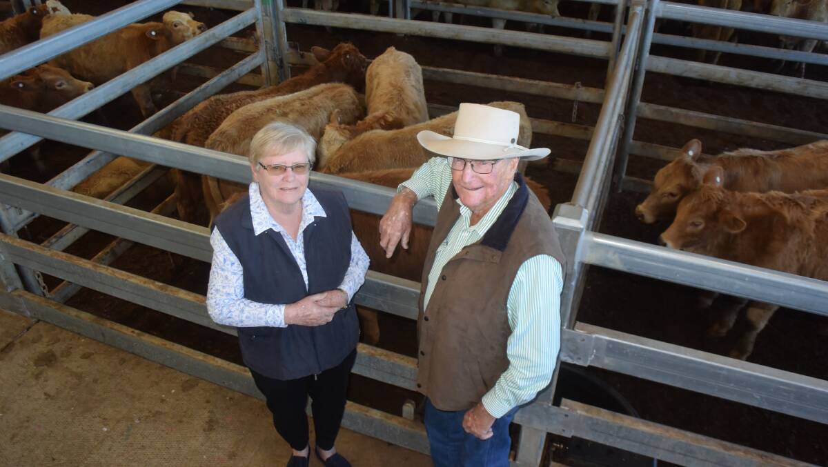 Desley and Les O'Reilly, Rosehill at Kyogle, sold Charolais cross Santa Gertrudis/Hereford steers 300kg for 592c/kg or $1776 to Alexander Downs, Merriwa.