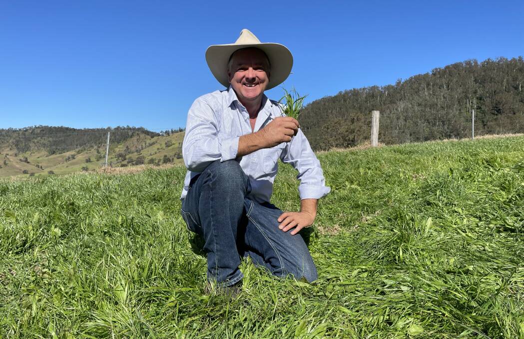 Macka's Pastoral managing director Robert Mackenzie amongst improved pasture that has been proven to sequester carbon, making the beef enterprise climatically sustainable.