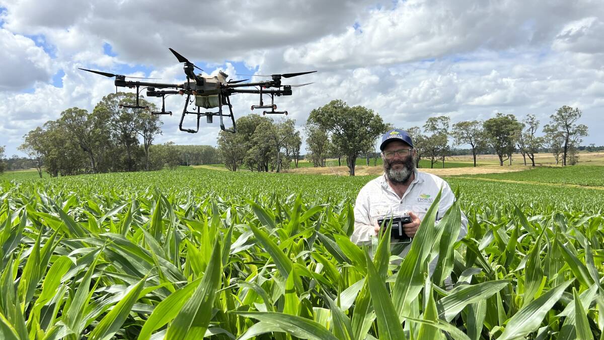 James Lyon, LyonAg, in a crop of corn being sprayed for fall army worm using a drone. Photo is supplied.