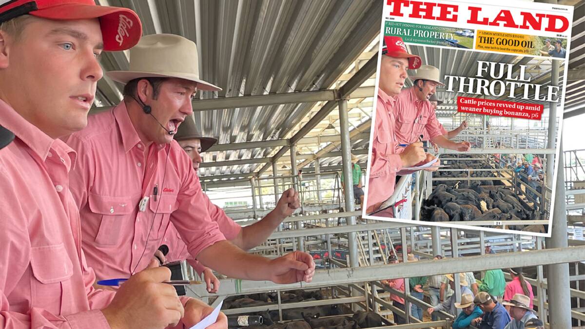 Elders agents Brett Shea, with Declan Bridge and Oliver Mason, follow the bids at Wodonga last January when record prices were in the order of 30 per cent lower than today. Now producers are wondering what the new year will deliver.