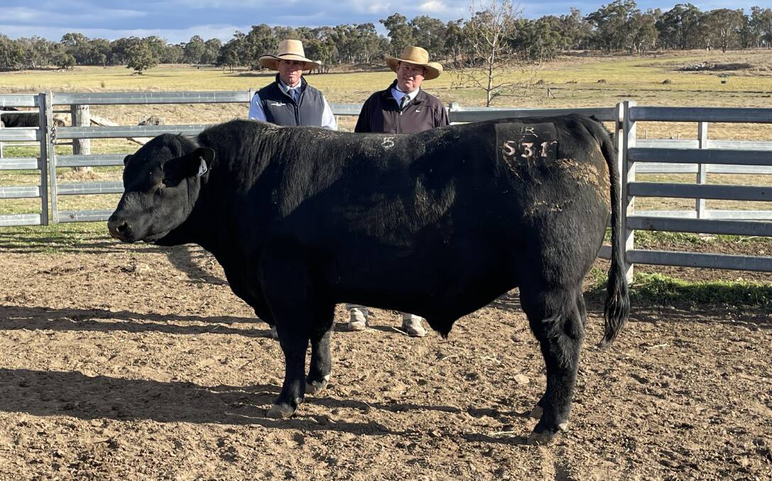 Top selling Inglebrae Farms Chisum S31 with stud manager Darren Battistuzzi and Ray White Tenterfield principal Ben Sharpe.