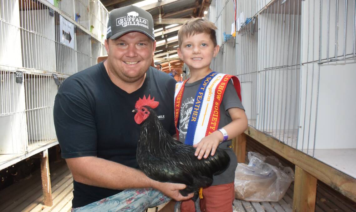 Poultry grand champion Australorp bred by Riley and Hamish Iana, Lismore.