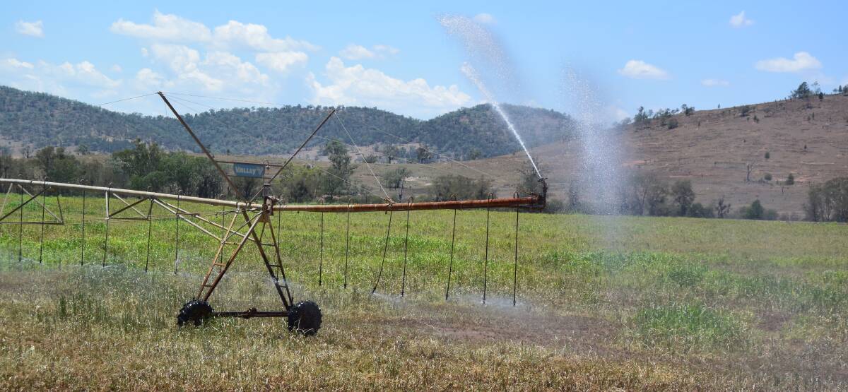 Irrigators around Breeza face a 30 per cent reduction in ground water allocation, while those still watering in the Quirindi district will get increased availability. Narrabri area loses only 5 per cent, much to their relief.