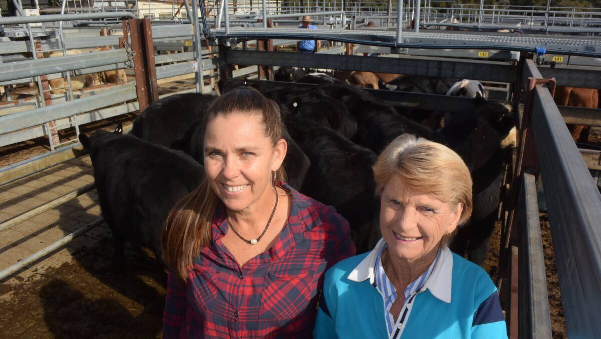 Sharyn and Daphne Farlow, James Creek, sold Angus steers, 248kg at 274c/kg or $679 going to Deervale Partnership, Dorrigo.
