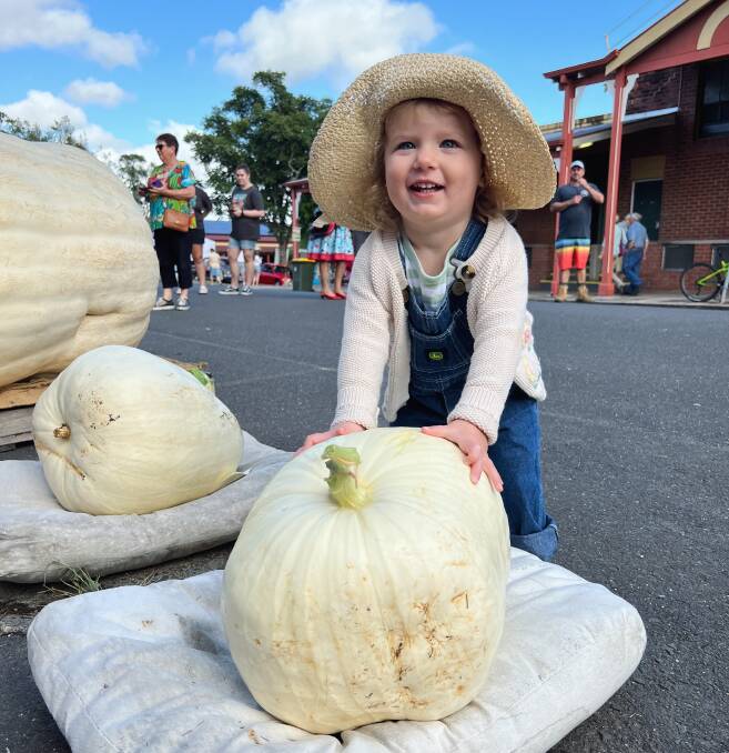 Junior champion runner-up Matilda Cox from the Tweed Valley with her 12.5kg entrant. Her family had a potential champion that literally imploded three days before weigh-in. Photo by Lillian Cox.