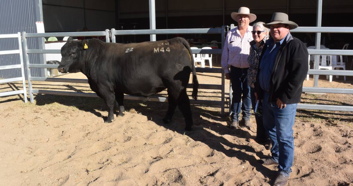 Alumy Creek bull sale top price of $13,000 was paid for Alumy Creek Ranch House MO44 by Peterson Angus Ranch House 349 bought by Mark Chorley, “Kelmara” Tenterfield, pictured with stud owners Colin Keevers and Lisa Martin.