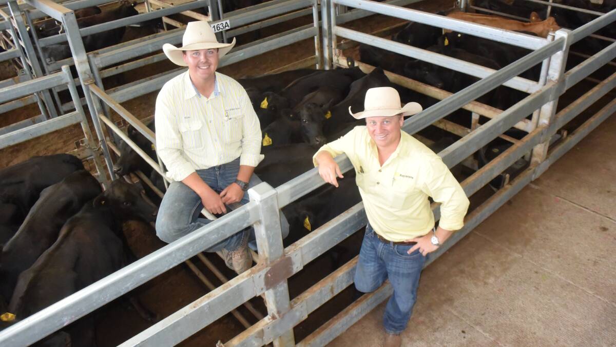 Blake OReilly, Ray White Guyra, and David Felsch, Ray White Dalby at the Casino weaner and feeder sale on Thursday.