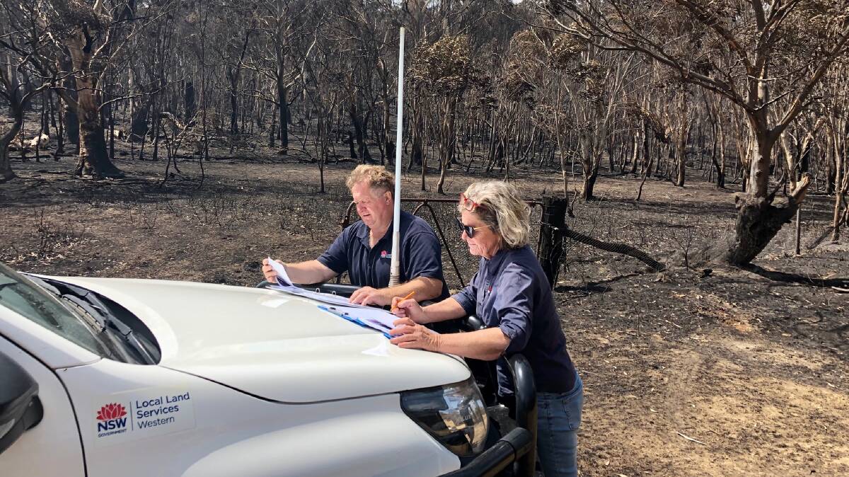Assistance is at hand through a $75,000 special disaster grant available to fire affected primary producers.