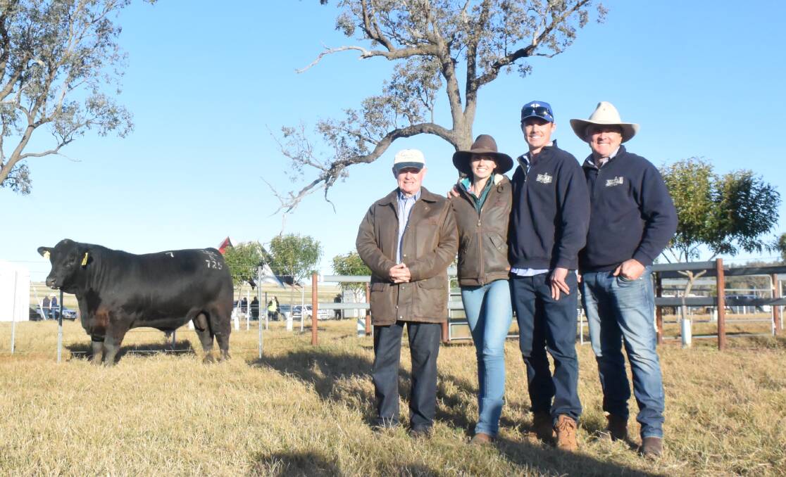 Three generations of MacKenzies - Bruce, Jack and Robert with Jack's partner Alexandra Lynch - and their $225,000 record busting Angus Sire Texas Iceman R725, rising 16 months, by Poss Maverick from the Texas Undine dam that before Thursday's sale delivered 12 sons to an average of $26,400.