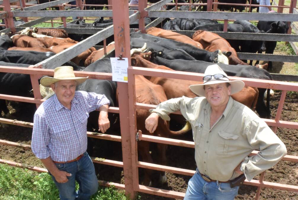 Peter Rohan, Lower Acacia Creek, with John Aiken, Dalmoak, Maryland who sold full mouth steers, 319kg for 350c/kg or $1117 to Michael Savio, Dalveen.
