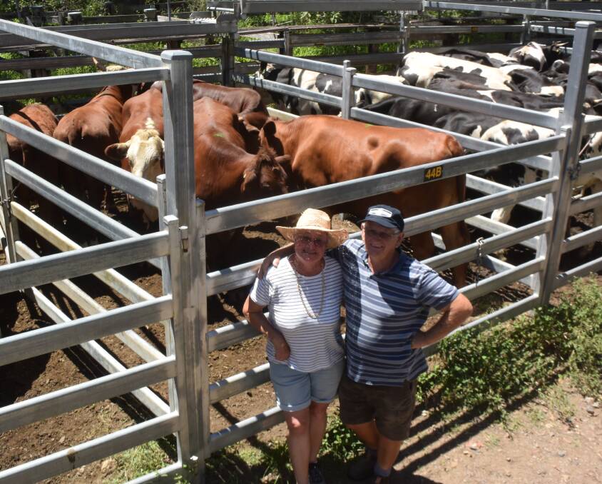 Leonie and Peter Fletcher, Wauchope, sold this pen of steers for $2060, which went to Walcha for fattening.