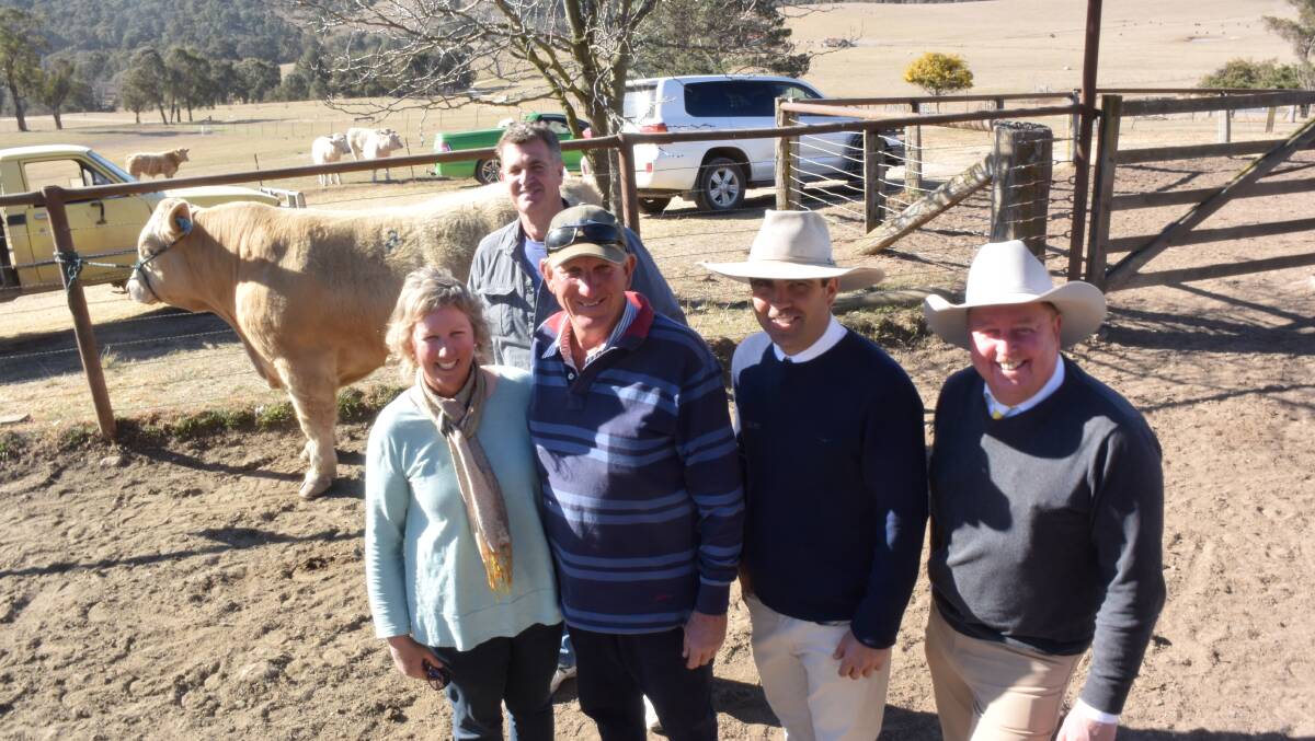 Lot 3 Wakefield Major Impact topped Friday's sale at $10,500 sold to Tony Clark, Woodford Island, with stud principals Jenny and Greg Frizell, and auctioneers Mitch Donovan from Ray Donovan Stock and Station at Grafton and Mark Haywood, Ray White Rural, Kempsey.