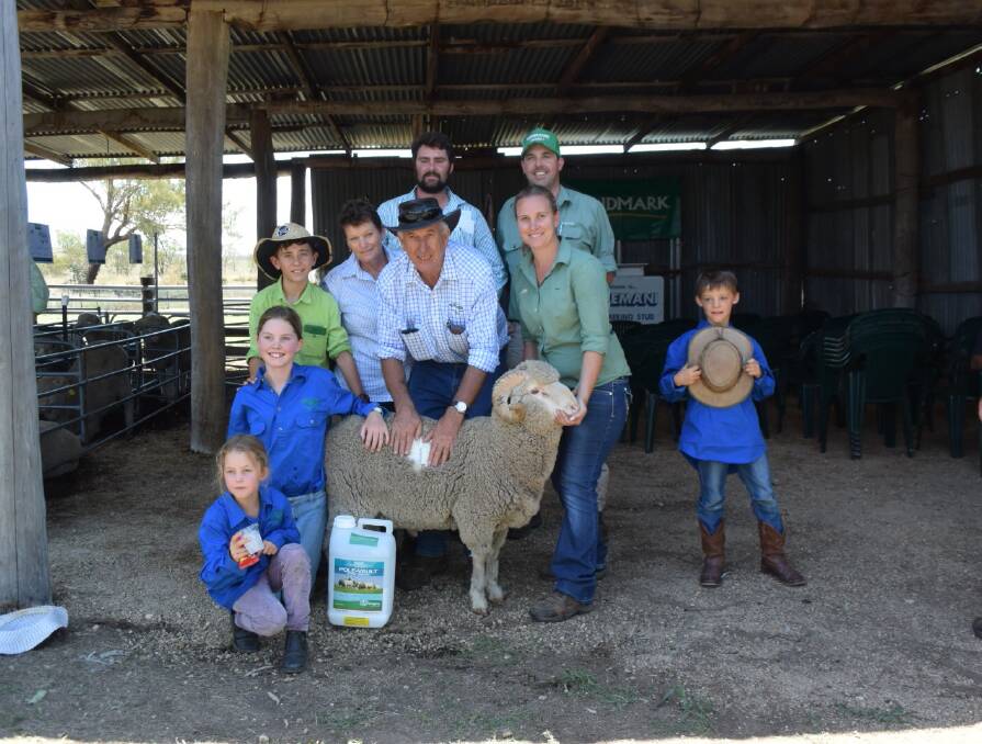 Lot 34 topped the Lemani Merino ram sale on Thursday selling for $1400 to Callan Schaefer, Fern Hill, Guyra pictured with stud principal Steve Symons exposing wool and surrounded by grandchildren, partner Julie, daughter and Landmark Inverell agent Nikki Symons with fellow agent Ashley Faint.