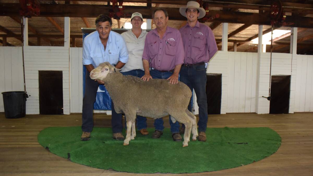 Alfoxton Dohnes stud principal Chris Clonan, with volume buyer Kate Cutler "Oakhurst" North Star and selling agents Phil Hurford and Will Claridge, CL Squires and Co, Inverell. Oakhurst purchased 18 rams to average $2155.