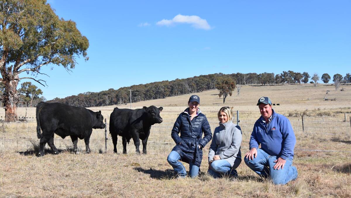 Ausmectin Northern Beef Week has kicked off in the New England, with studs from Tenterfield to Guyra showing off this season's best bull genetics. Pictured here are Scarbah Angus stud principal, Zac McInerney (right), Eliza Borchardt, Okvale Angus, Qld, and Courtney Will, TCW Livestock, Delungra,with a selection of the Scarbah Angus bulls on show.