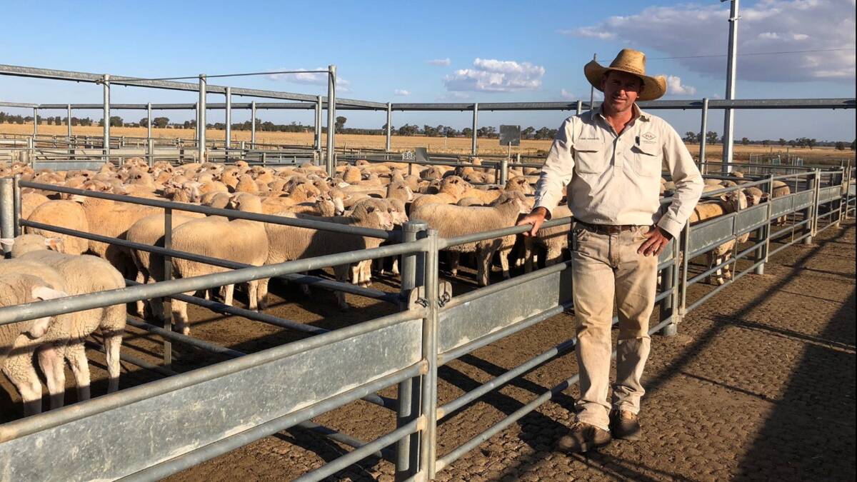 Forbes Livestock and Agency director Randal Grayson says demand and prices are as dear as he has seen it with light lambs destined for a Greek Easter making exceptional money up to 900c/kg.