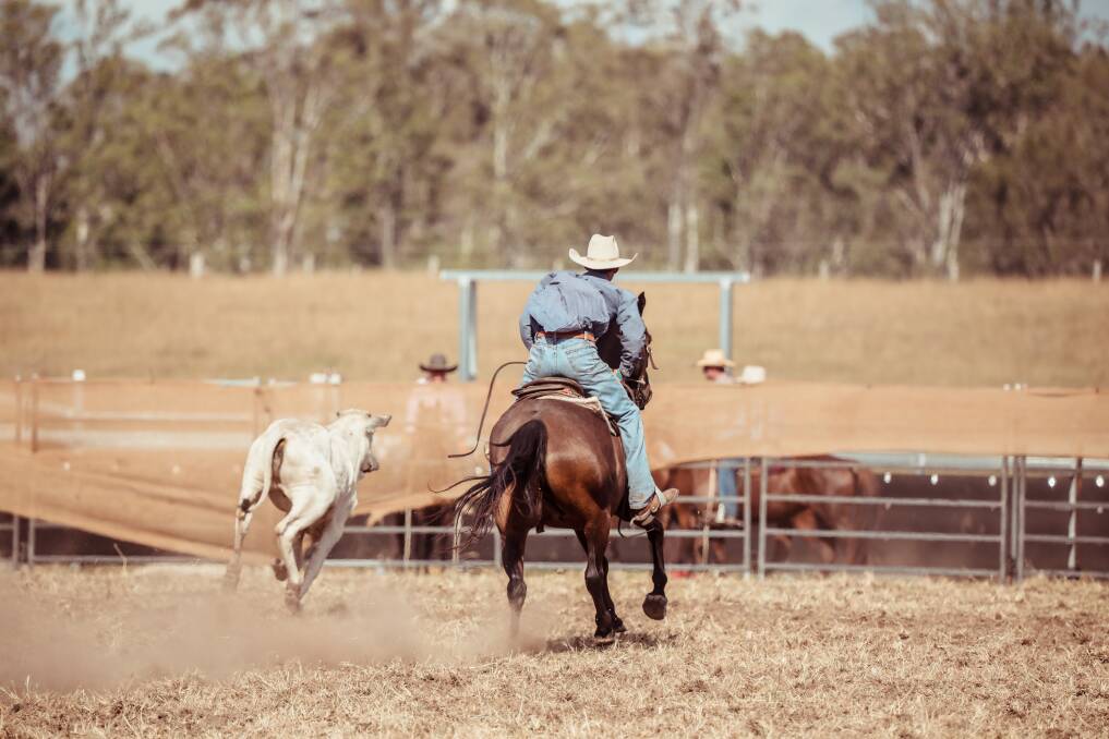 Campdraft competition horses entering NSW from tick infested parts of Queensland will have to pay more for inspection and preventative spray under new DPI regulations. Photo: Lucy Kinbacher